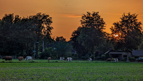 Zonsondergang 