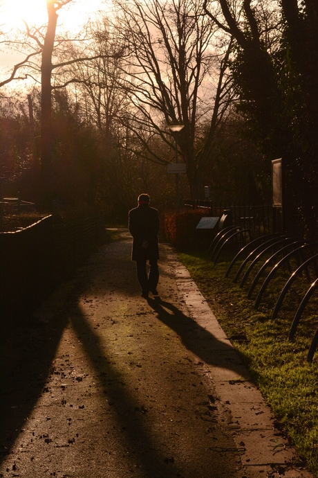 Midday stroll