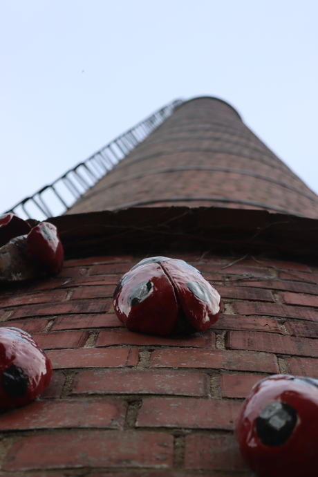 Op weg naar het einde