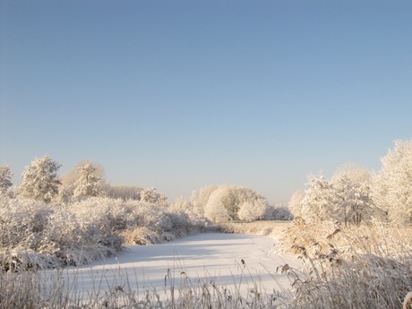 Naturpark Lelystad