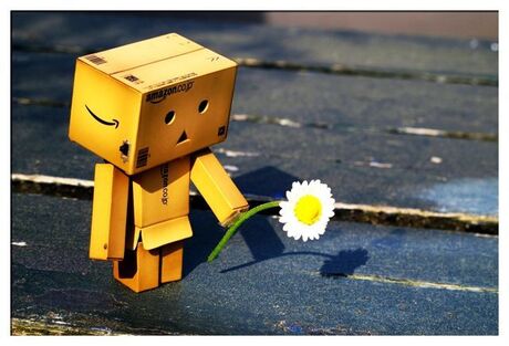 Danbo goes Valentine