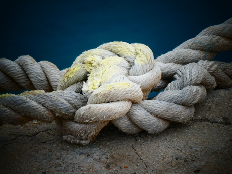Knoop