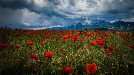 Vuur onder dreigende luchten