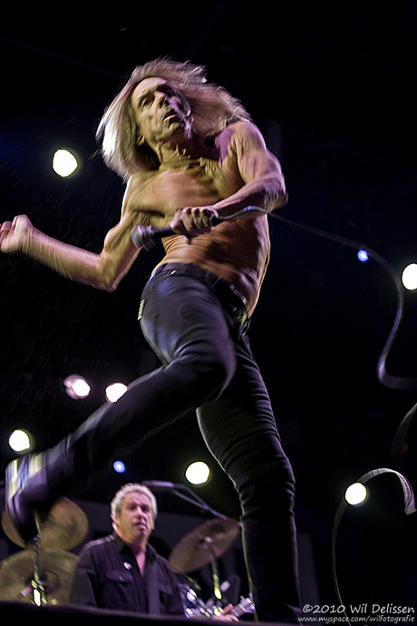 Iggy Pop