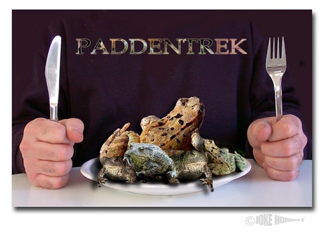 Paddentrek