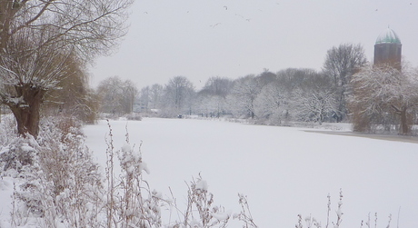 'Zwarte wijk' Overvecht, Utrecht
