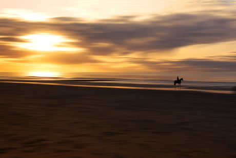 Strand en Ruiter