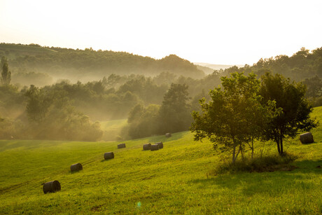 Landschap