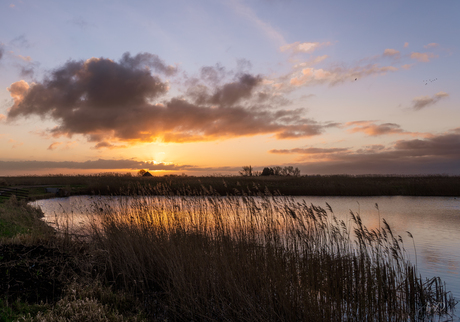 Zonsopkomst in de Volgermeerpolder