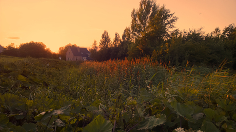 Evening atmosphere