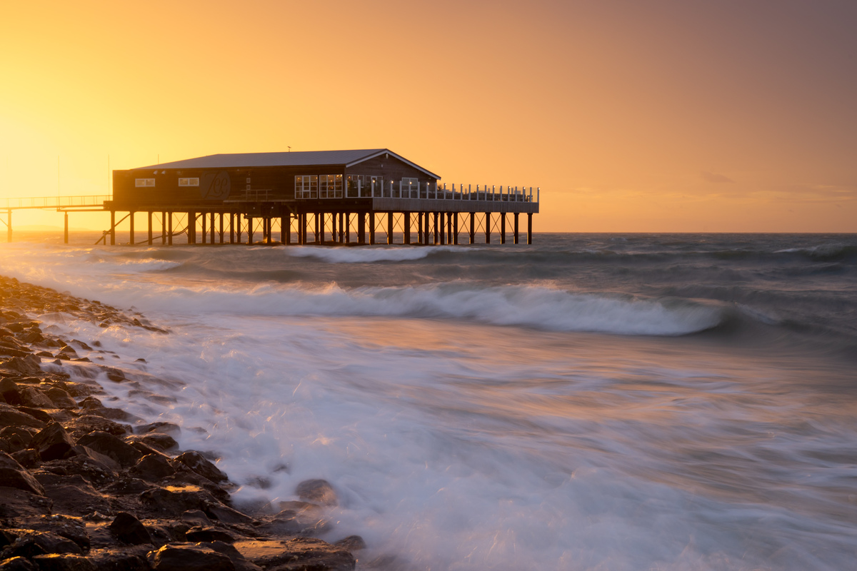 Sening mushukingni yalab koray