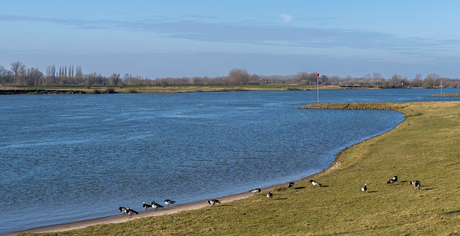 Denkend aan Holland