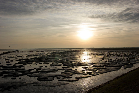 Ochtend