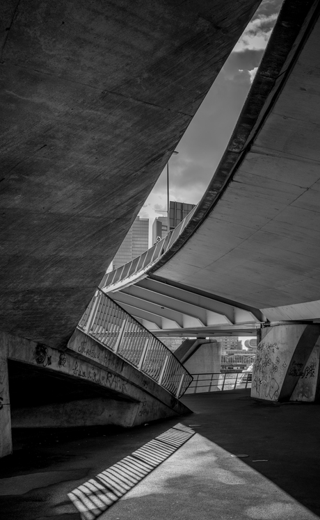 Erasmusbrug Rotterdam