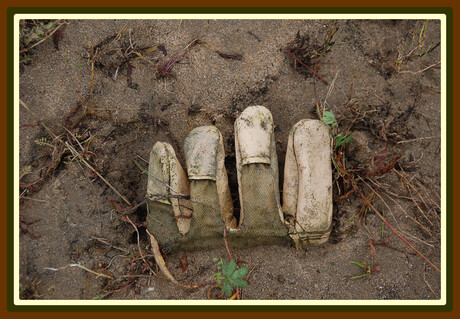 Handschoen.....in de natuur