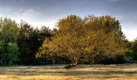 duinen watertoren HDR 6