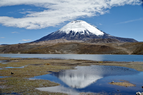 Parinacota vulkaan
