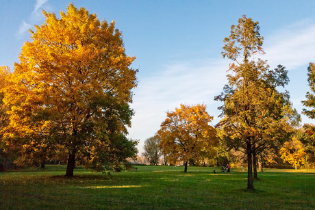 Immerloo Park Arnhem