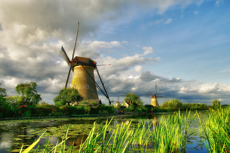 kinderdijk