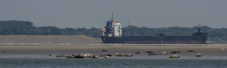 De tijd en schepen voorbijgaand