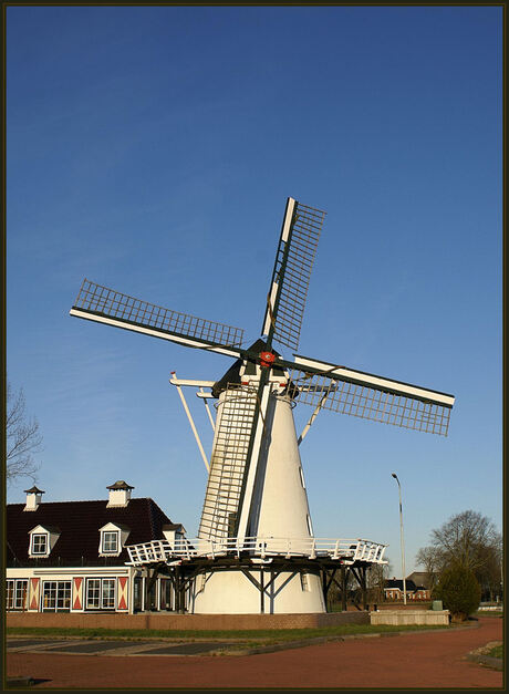 Molen