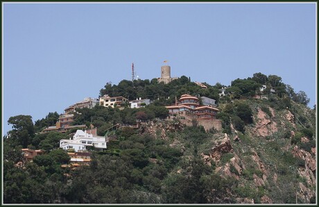 Groene Spanje