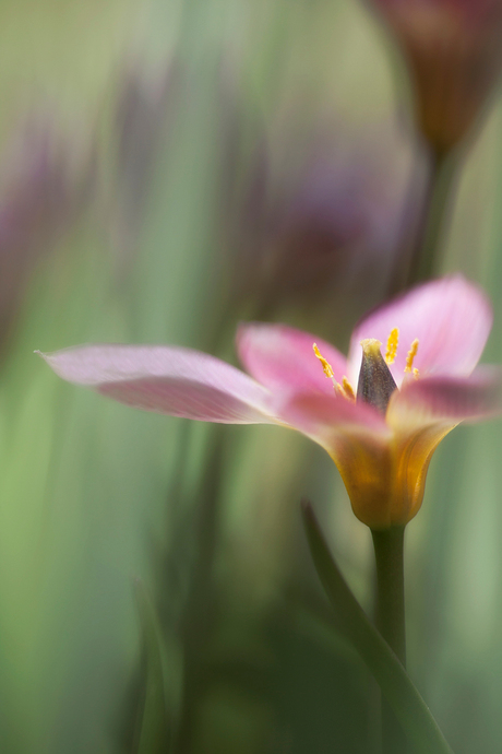 In de speeltuin