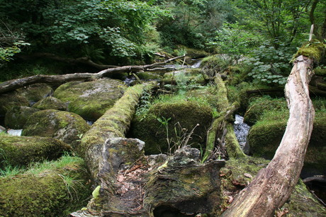 Becky Falls Engeland