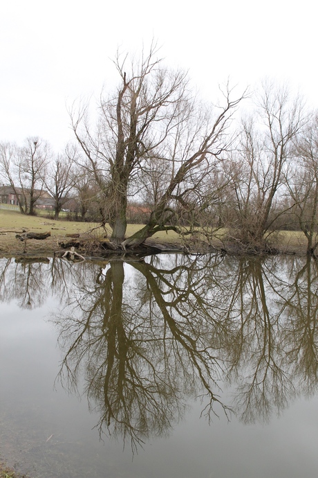 Weerspiegeling 3