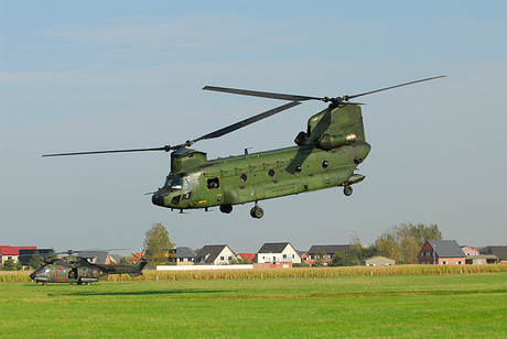 Chinook D-664