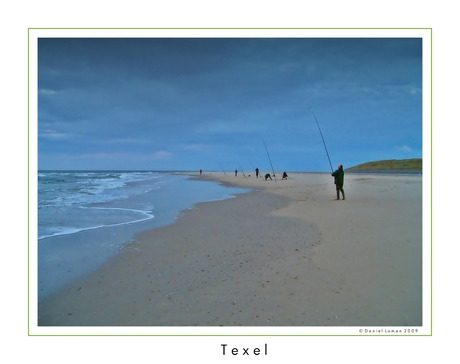 Texel