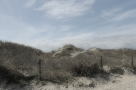 Duinen