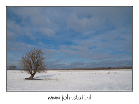 Winterlandschap Biesbosch