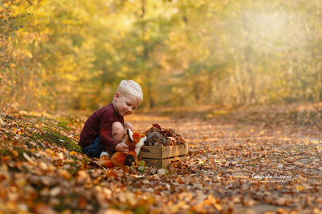 Spelen in het bos