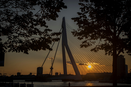 Rotterdam By Night