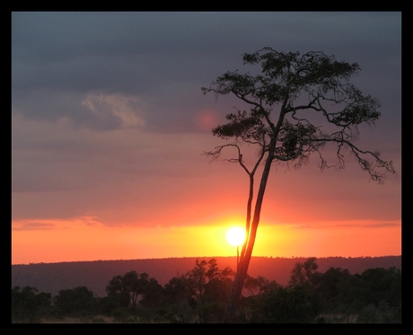 Kenya by night