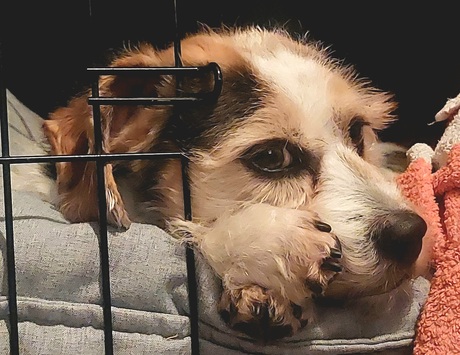 Wordt moe van oud en nieuw 