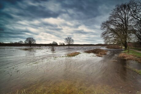 Landschap buitengebied