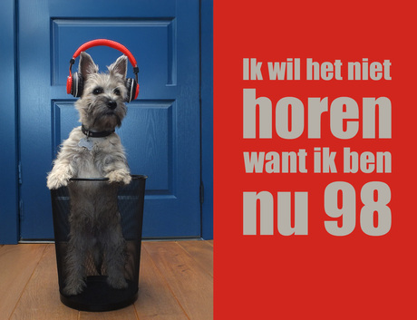 Ik (Luna) ben jarig vandaag...‼️