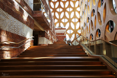 Naturalis Museum Dinosuarussen