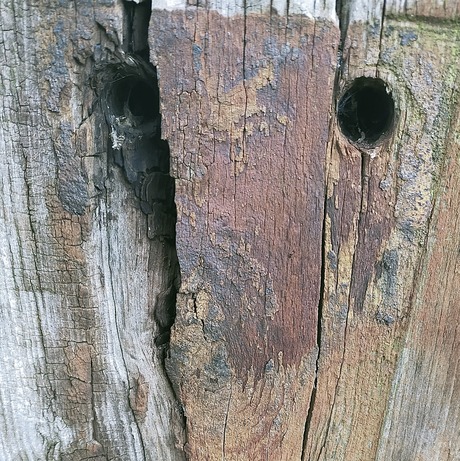 Alles in de peiling..