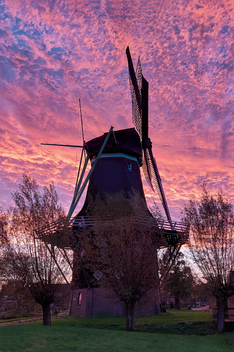 Penninga's molen in het ochtendlicht