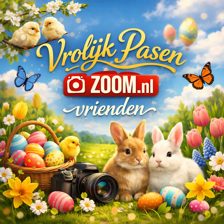 Easter in focus