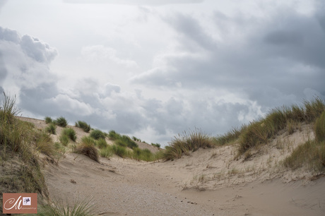 Duinen