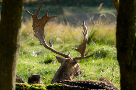 Waterleidingsduinen