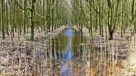 Vrije natuur