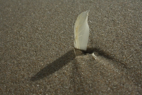 Vastgezogen in het zand.