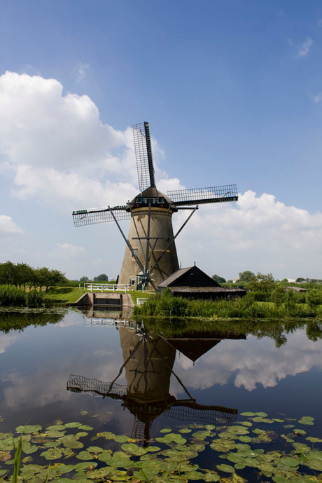 Molen