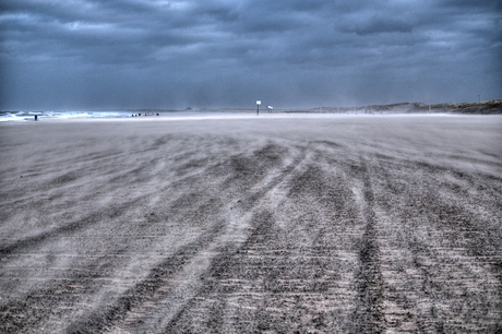 strand hoek van holland