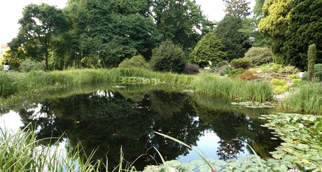 Weerspiegeling